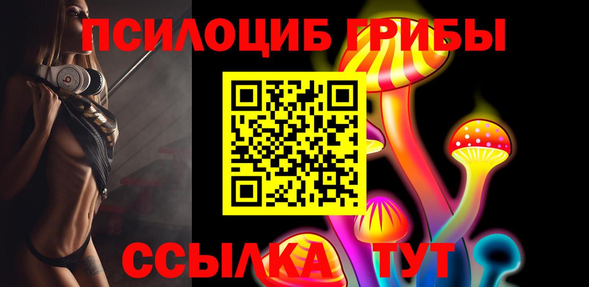 Новосибирск  Псилоцибиновые грибы Cubensis  Вход с VPN 